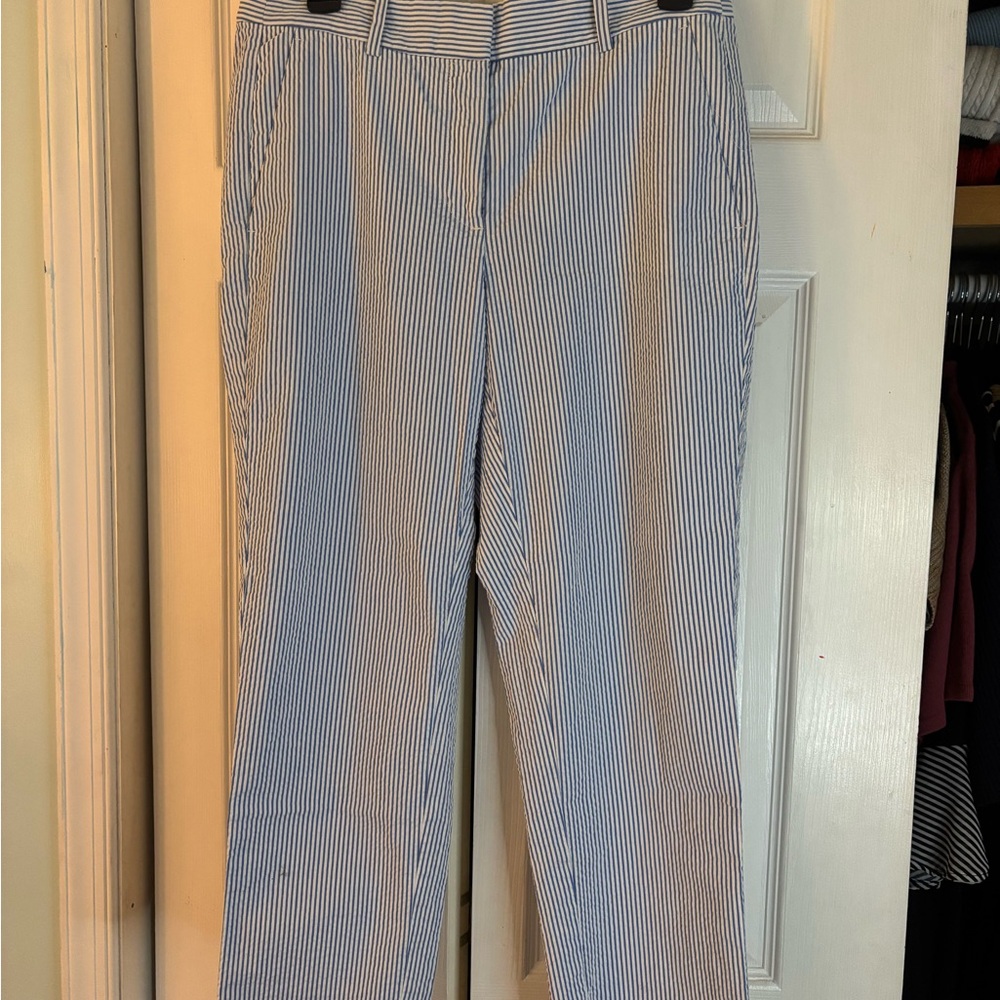 J. Crew Blue and White Striped Trousers
